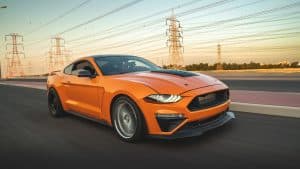 protect your vehicle's paint