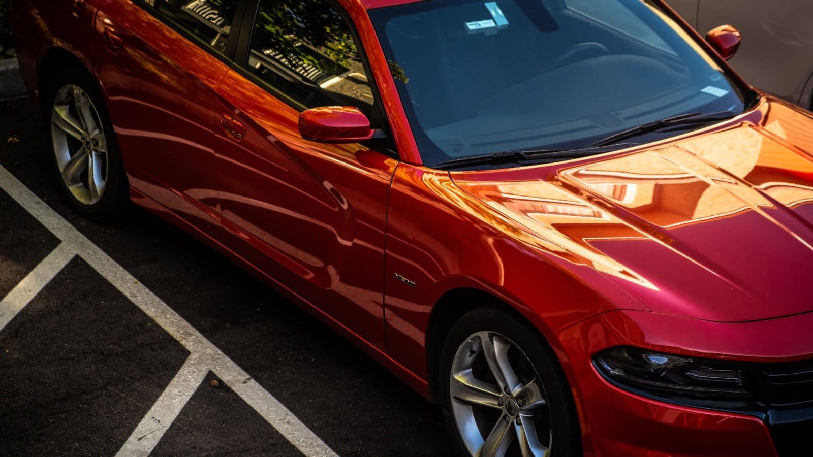 things that can damage your car’s paint job