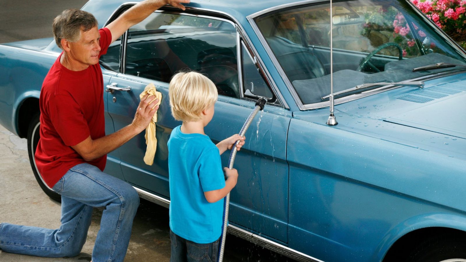 safe and effective car care